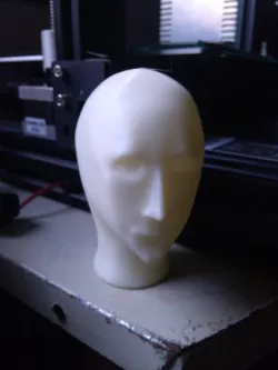 Enslaved Plastic