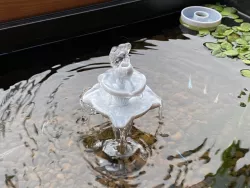 Fountain