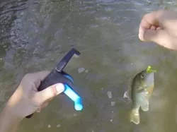 Fully Printable Fishing Rod