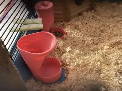 Hamster (rodent) Feeder - Funnel