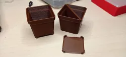 Kistenberg Tager Cups