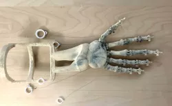 Moveable Skeleton Arm Extension