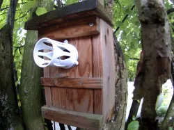 Predator protection for nesting boxes