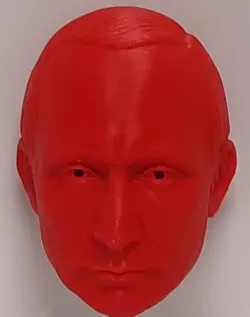 Putin heads for various use