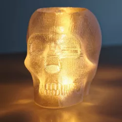 Skull Lamp