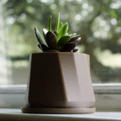 Succulent Planter