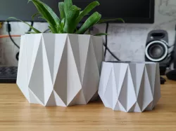 Tradicional crystal - Pot and planter for plants and flowers - vase mode print