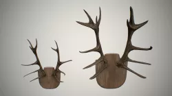 Antler 3D model