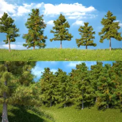 Cedar Tree Collection 5 Models 3D model