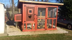 Chicken Coop