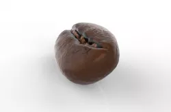 Coffee Bean