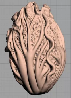 Crafts Decoration Sculpture Model Chinese Cabbage C002 3D model