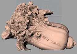 Crafts Decoration Sculpture Model Chinese Cabbage C015 3D model