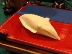 Cuttlefish