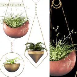 Hanging plants 143 3D model