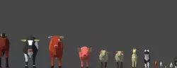 Lowpoly Domestic Animals Low-poly  3D model