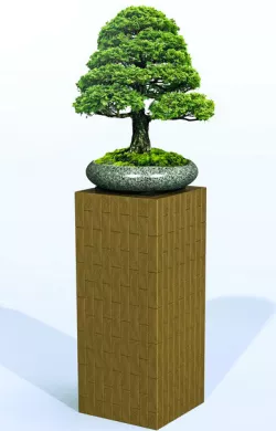 Oak Bonsai Pillar