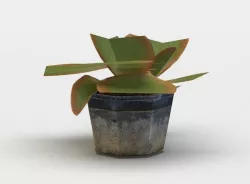 Pot kalanchoe Low-poly  3D model