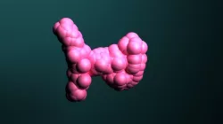 Protein molecule 3D model