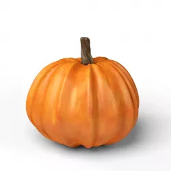 Pumpkin 3D model
