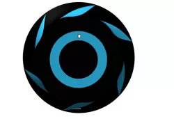 shape
