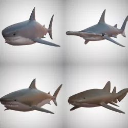 Sharks - 4 Pack Low-poly  3D model