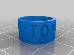 toast remake
