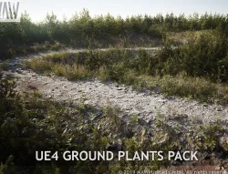 UE4 - GROUND PLANTS PACK Low-poly  3D model