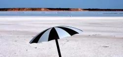 Umbrella