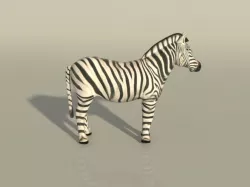 Zebra 3D model