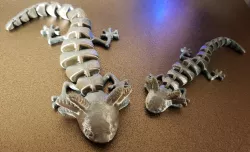 Articulated Axolotl Enhanced