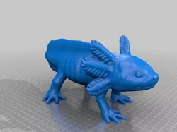 Axolotl