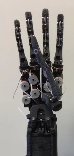 Dexterous Hand