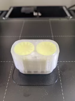 Earplug Case