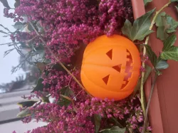 Haloween pumpkin