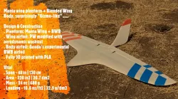 Mizmo -  A 3D printed BWB Flying Wing