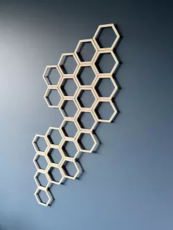 Modular Hexagon Plant Trellis