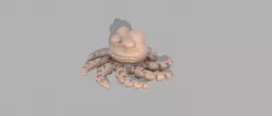 Pepe octupus