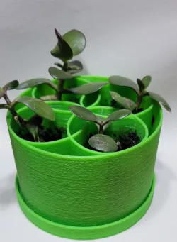 Plant Pot Dish