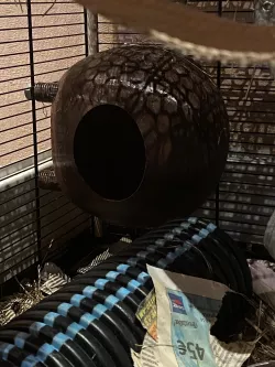 Rat house
