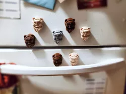 Space Bear Fridge Protectors