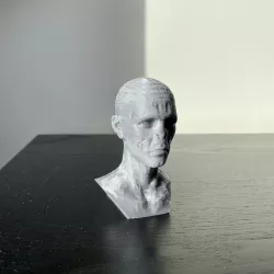 The Dark Lord´s bust (Nose supports not needed)
