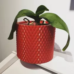 Vase Pot Planter Cachepot