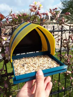 Wall mounted Bird Feeder with removable drawer
