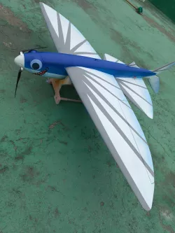 3D Printed R/C Aerobatic Glider 'FLYING FISH'
