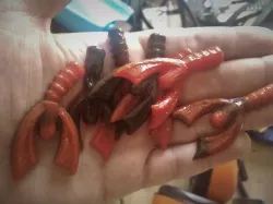Bass  Fishing Tiny Crab