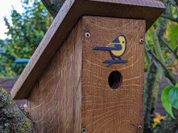 Bird plate