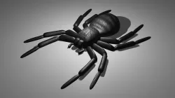Black House Spider - Flat print