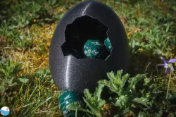 Cracked Egg