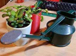Haws small watering can replacement head